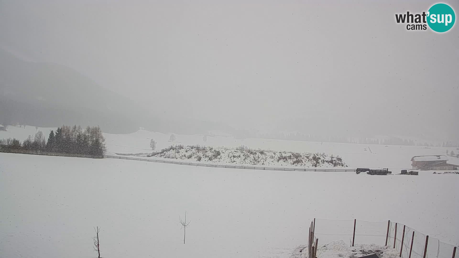 Kamera Olang | Kronplatz pogled iz apartmajev Sottla