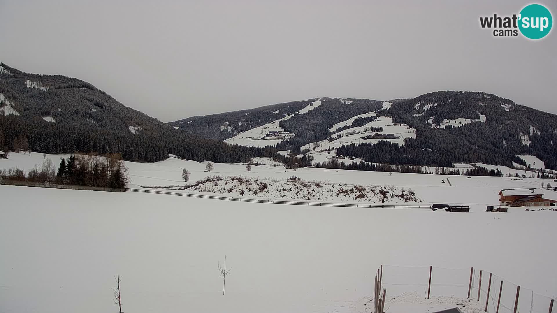 Webkamera Olang | Blick auf den Kronplatz von den Sottla Apartments