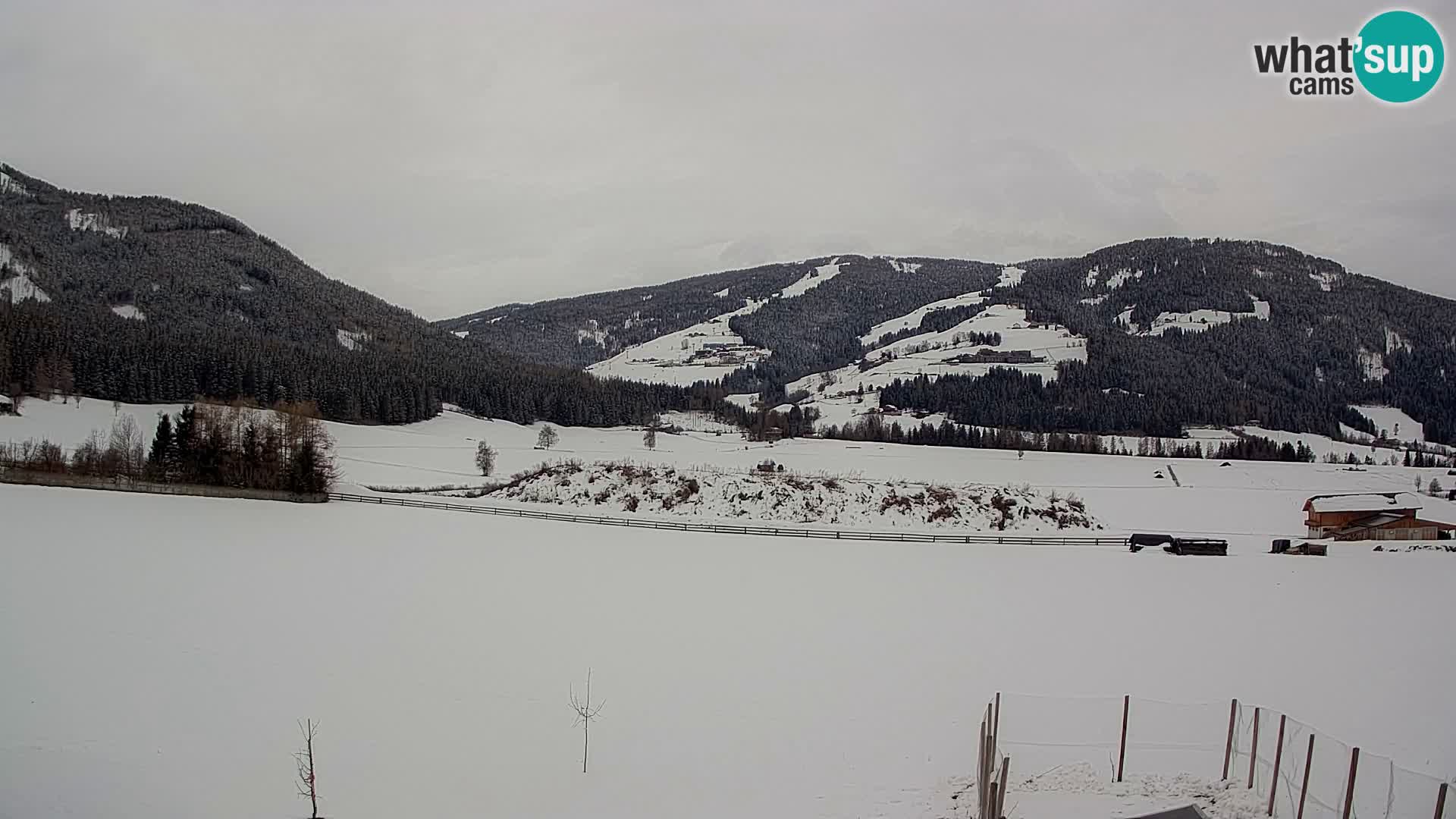 Livecam Olang | Kronplatz view from Sottla apartments