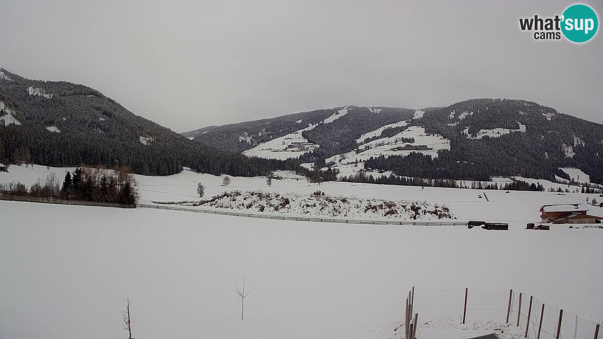 Web Kamera Olang | Kronplatz pogled sa apartmanov Sottla