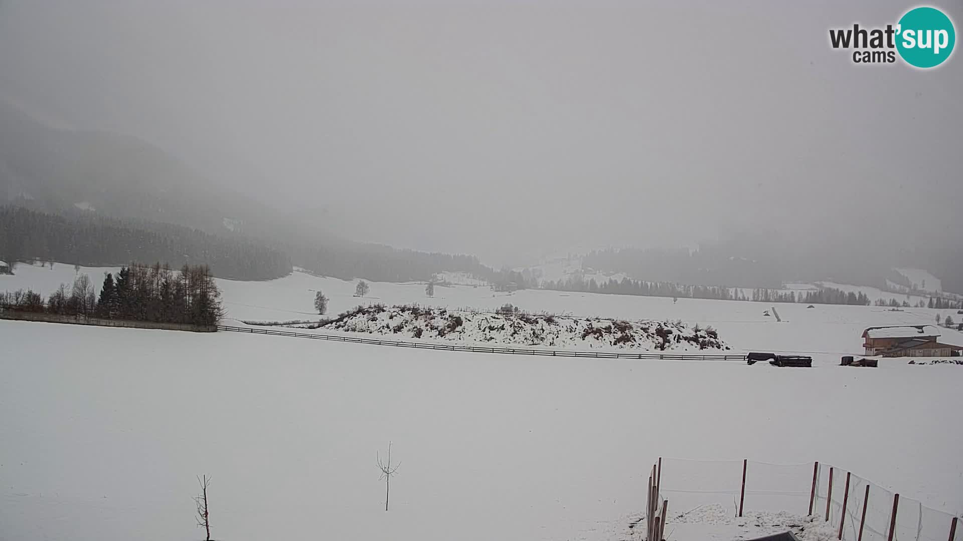 Web Kamera Olang | Kronplatz pogled sa apartmanov Sottla