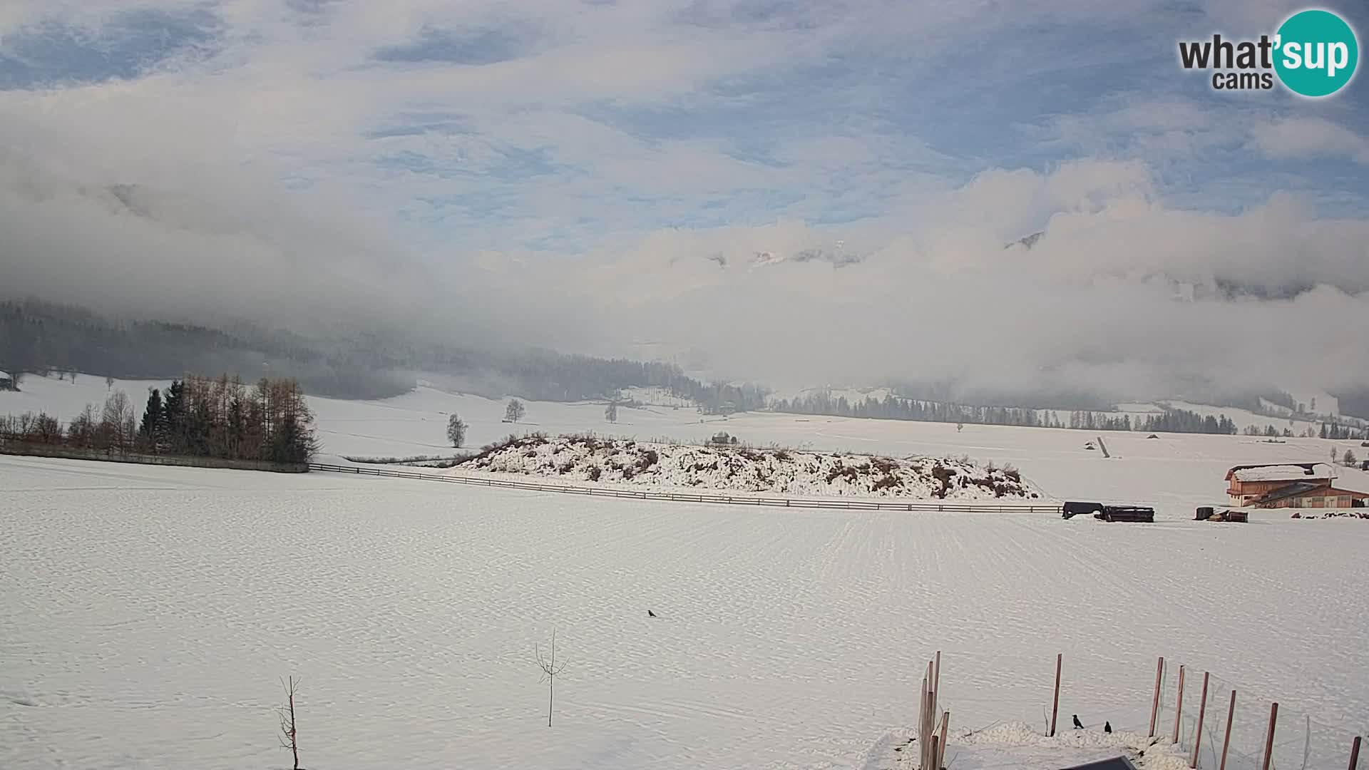 Web Kamera Olang | Kronplatz pogled sa apartmanov Sottla