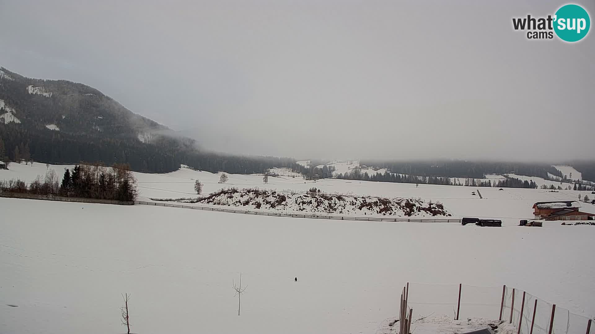 Web Kamera Olang | Kronplatz pogled sa apartmanov Sottla