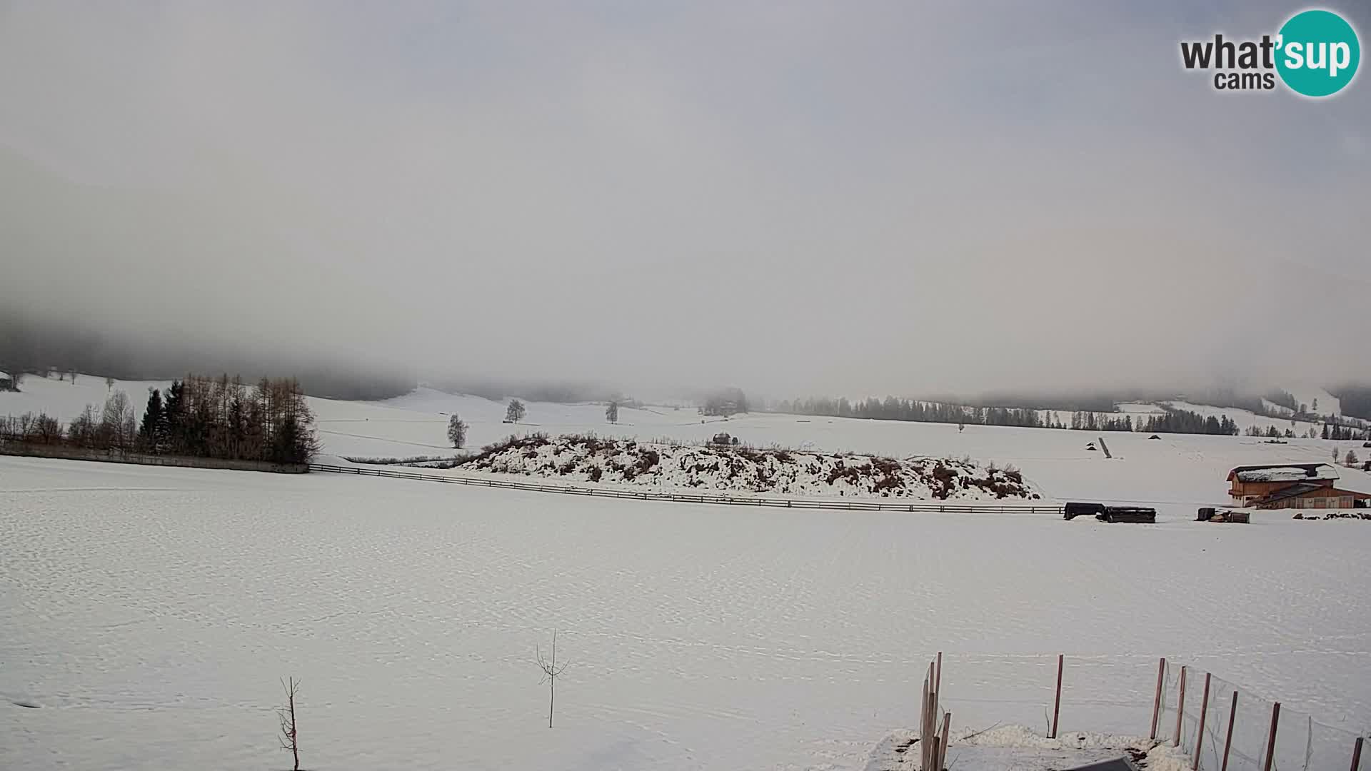 Livecam Olang | Kronplatz view from Sottla apartments