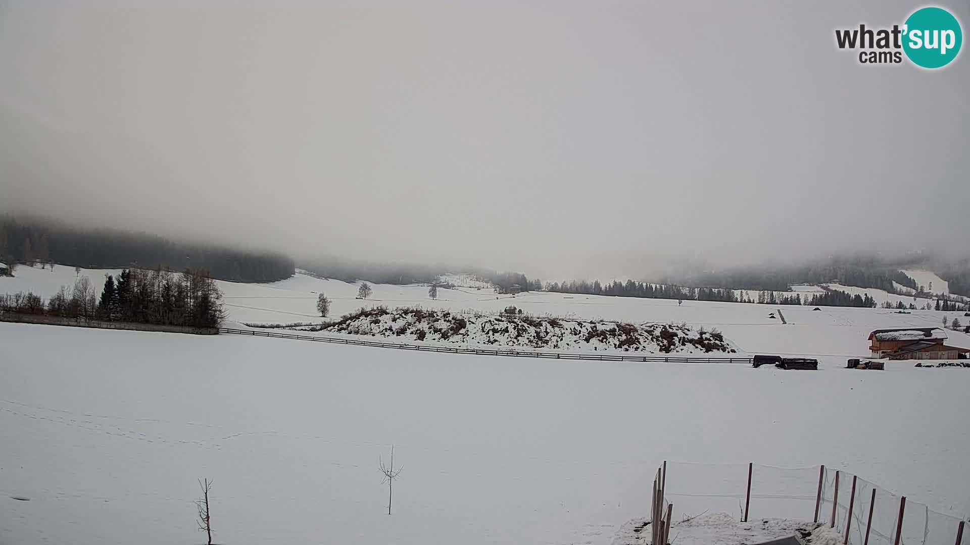 Web Kamera Olang | Kronplatz pogled sa apartmanov Sottla