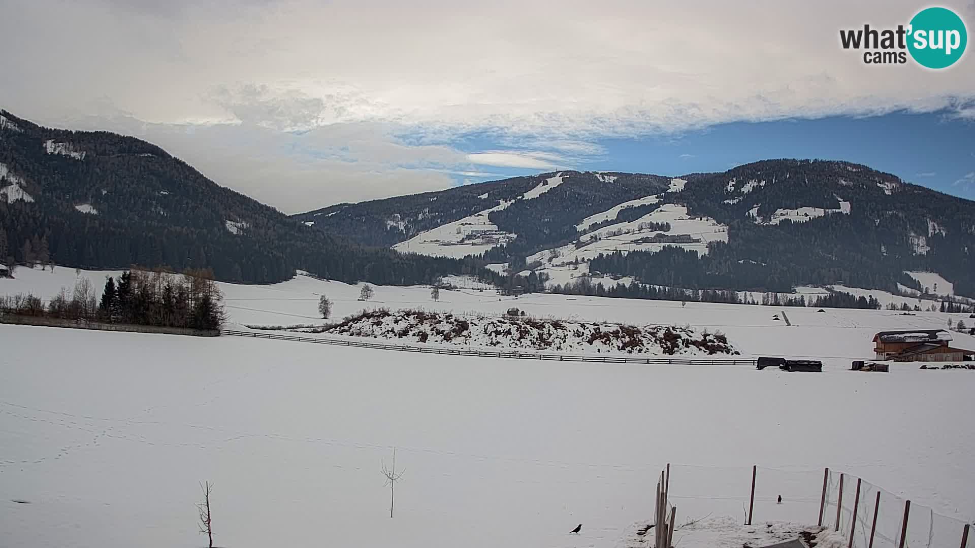 Web Kamera Olang | Kronplatz pogled sa apartmanov Sottla