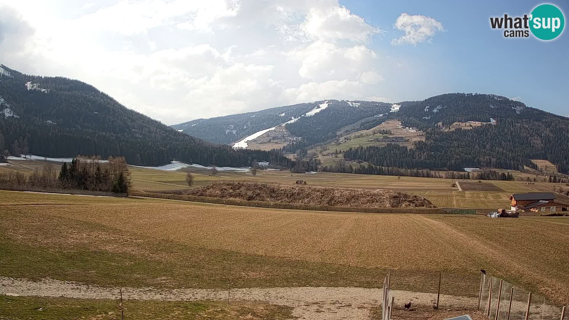 Web Kamera Olang | Kronplatz pogled sa apartmanov Sottla