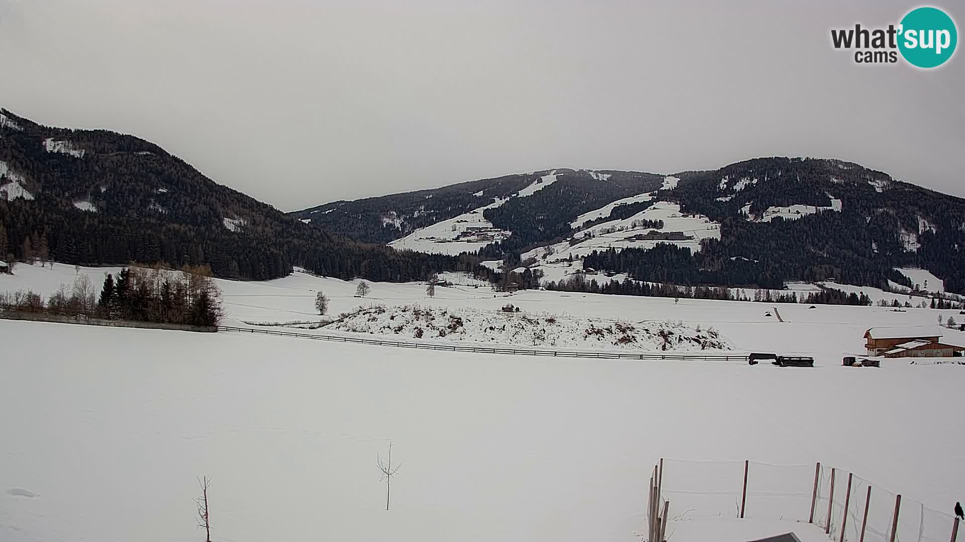 Web Kamera Olang | Kronplatz pogled sa apartmanov Sottla