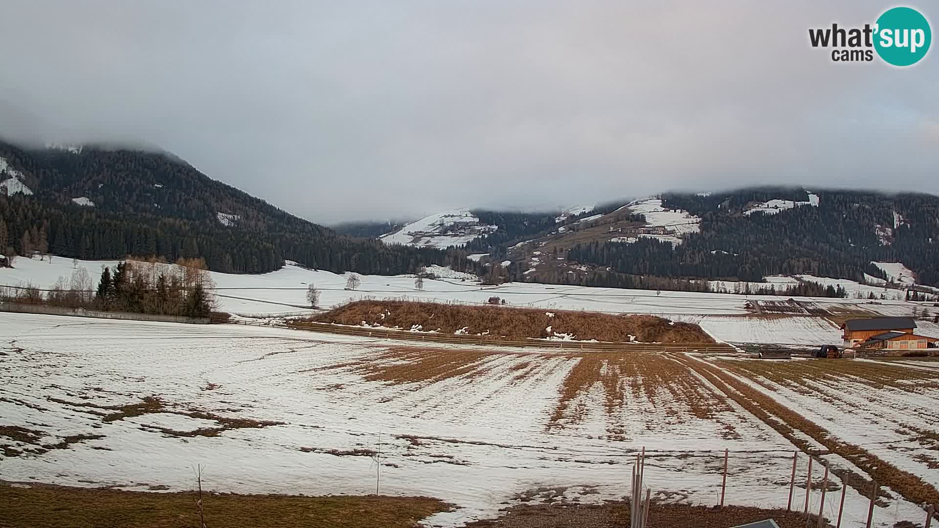 Webkamera Olang | Blick auf den Kronplatz von den Sottla Apartments
