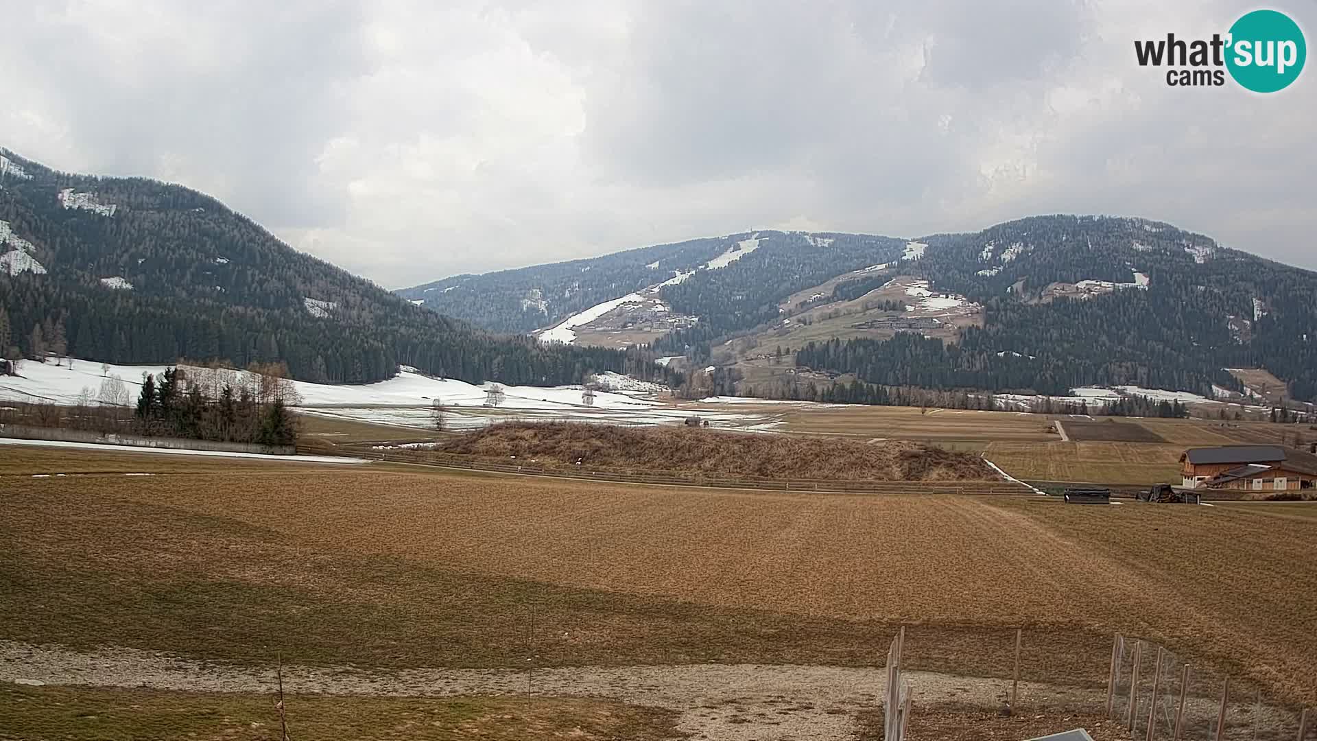 Web Kamera Olang | Kronplatz pogled sa apartmanov Sottla