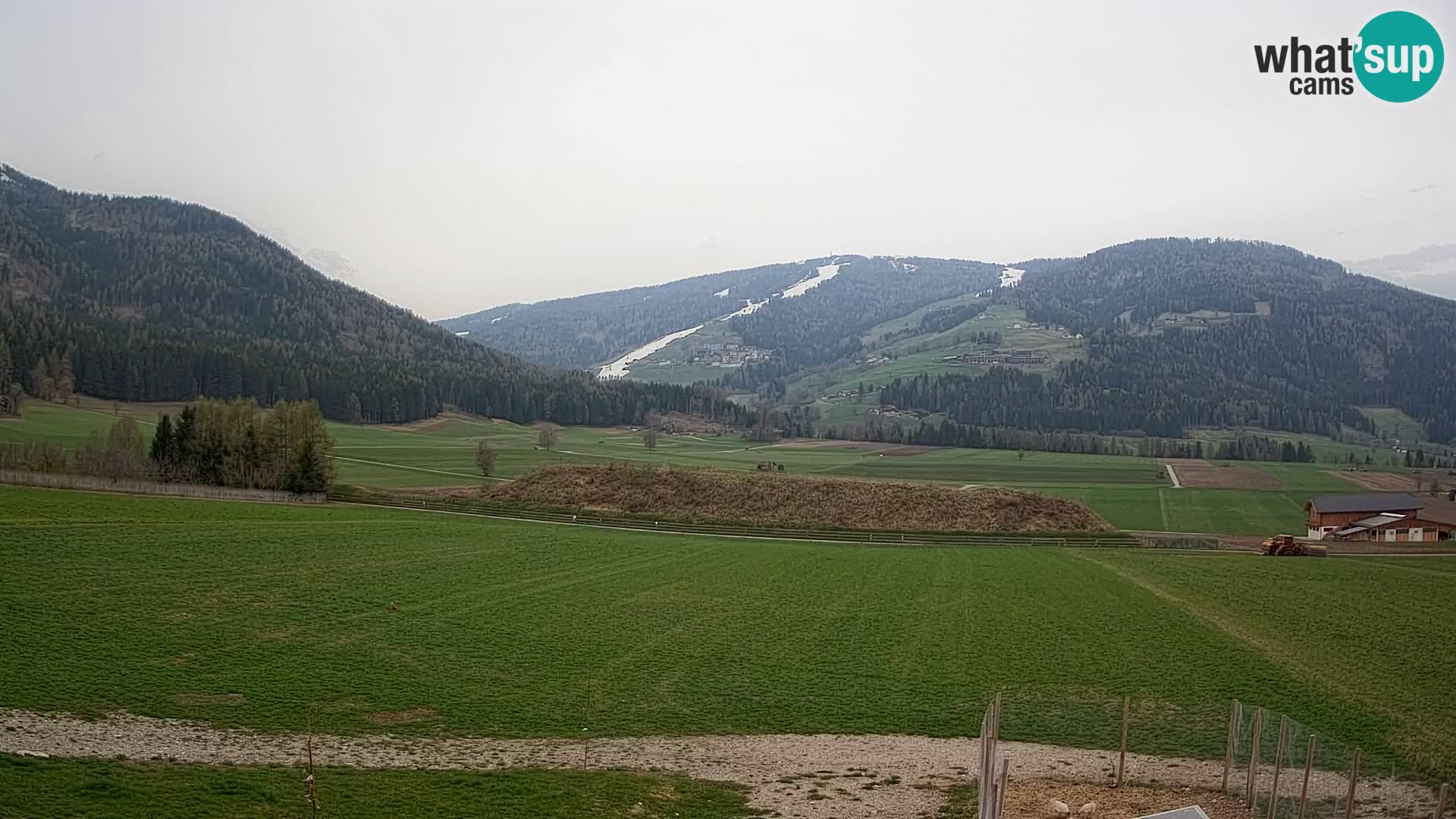 Livecam Olang | Kronplatz view from Sottla apartments