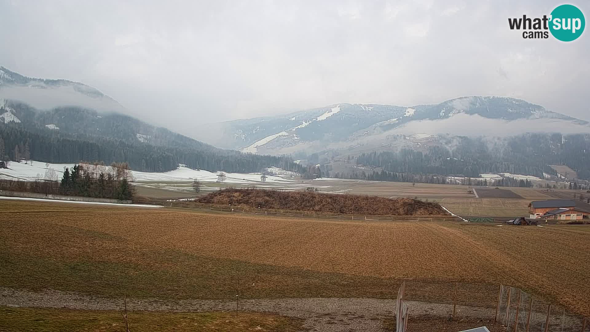 Livecam Olang | Kronplatz view from Sottla apartments