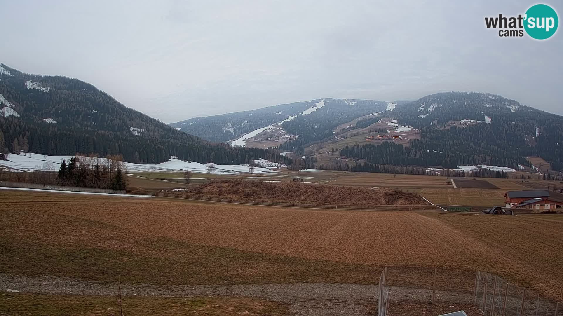 Livecam Olang | Kronplatz view from Sottla apartments