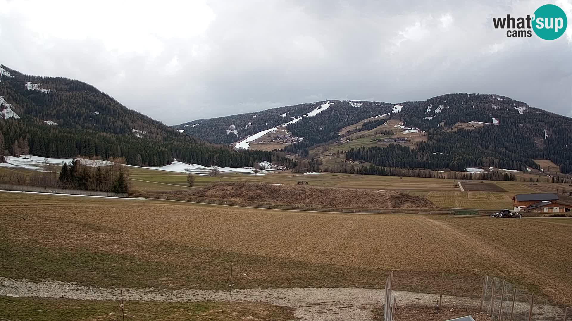 Webkamera Olang | Blick auf den Kronplatz von den Sottla Apartments