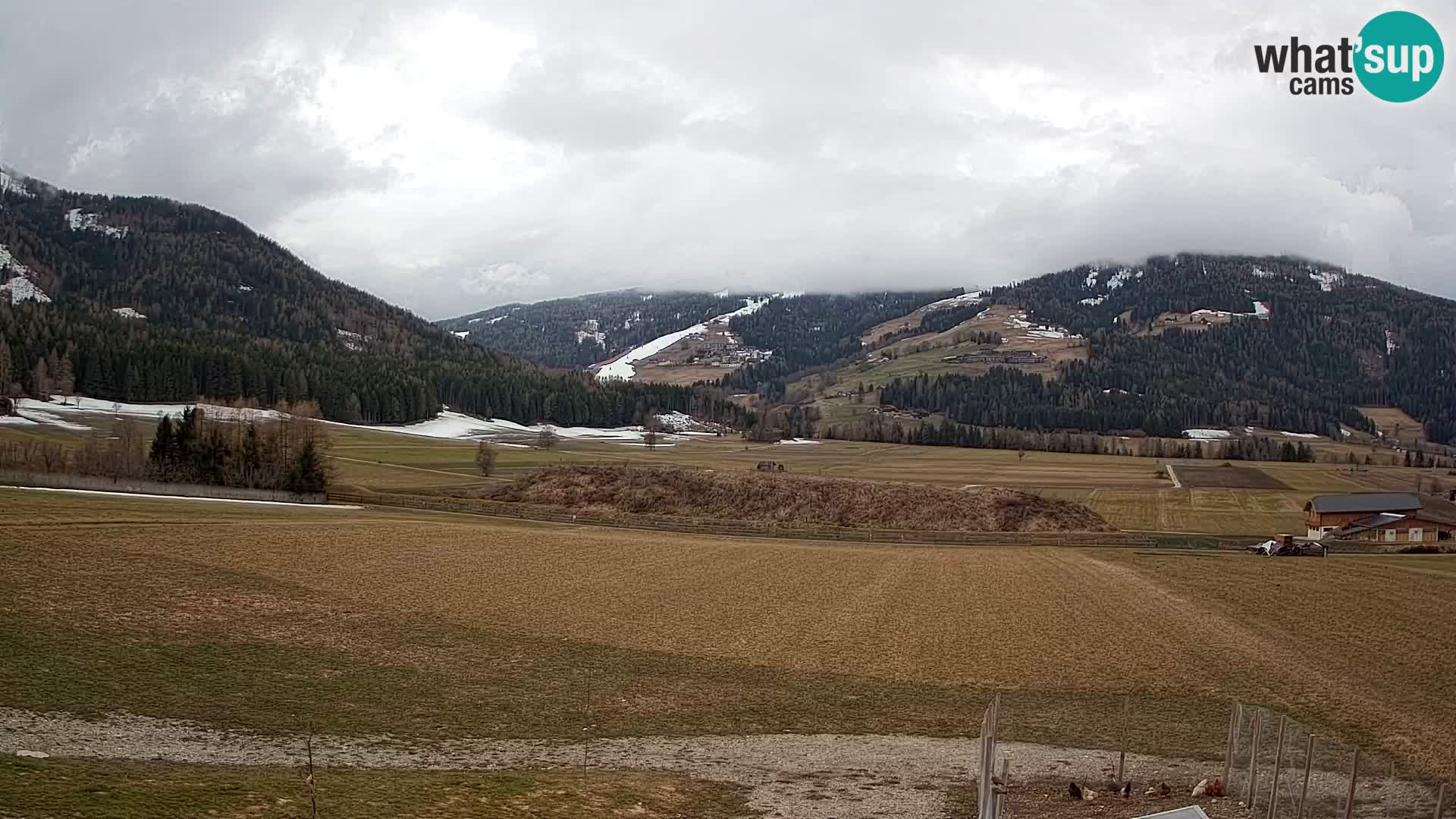 Web Kamera Olang | Kronplatz pogled sa apartmanov Sottla