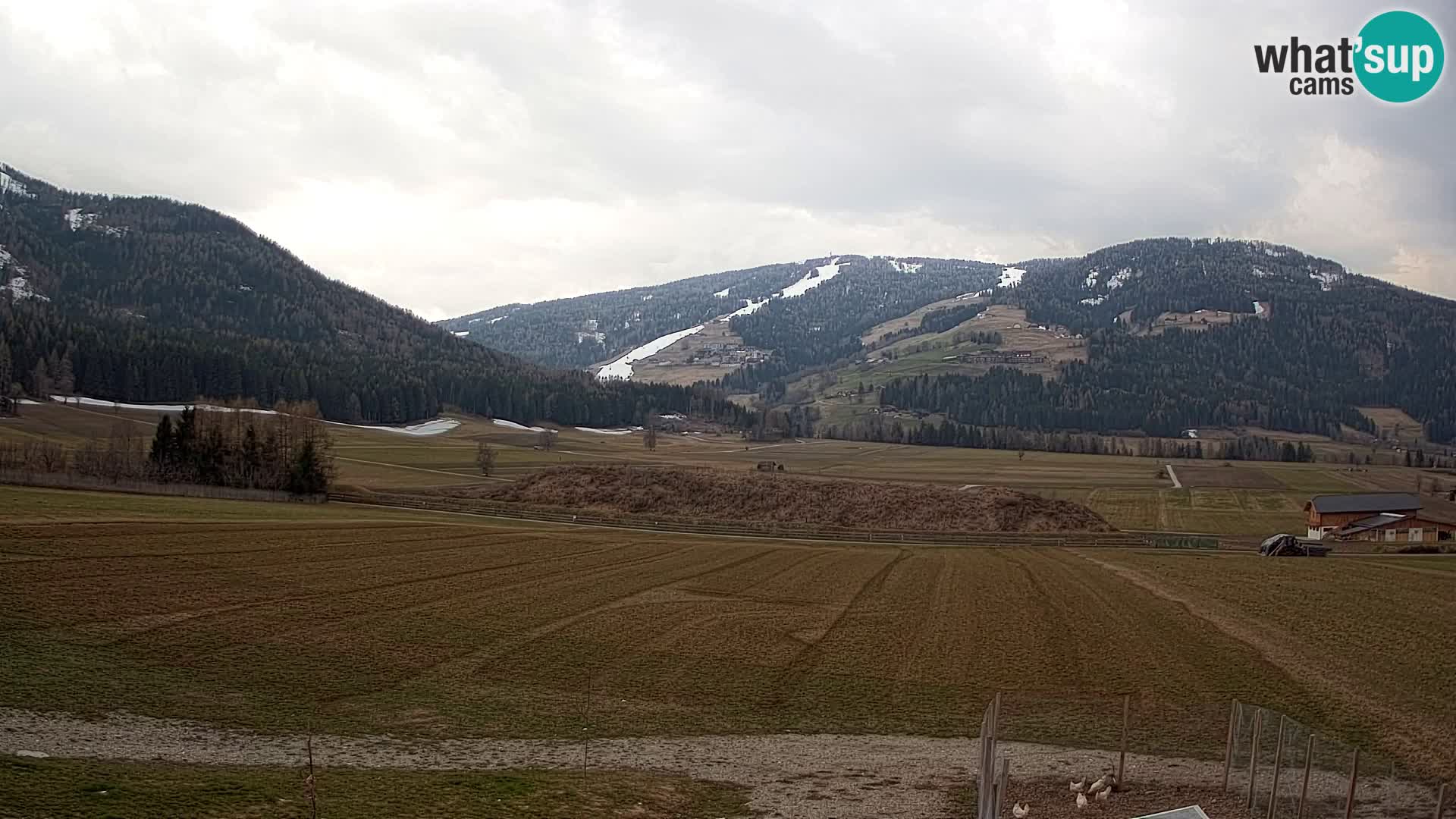 Livecam Valdaora | Plan de Corones dagli appartamenti Sottla