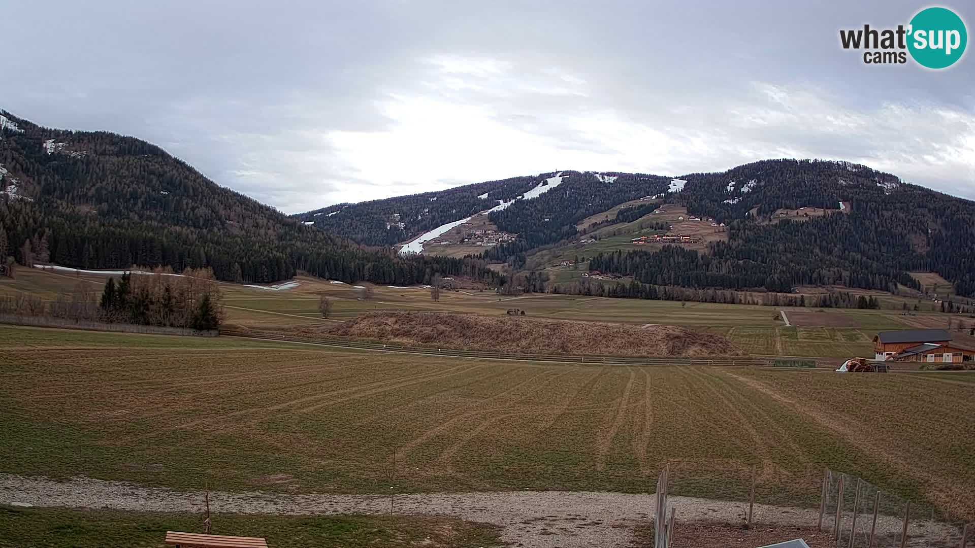 Web Kamera Olang | Kronplatz pogled sa apartmanov Sottla