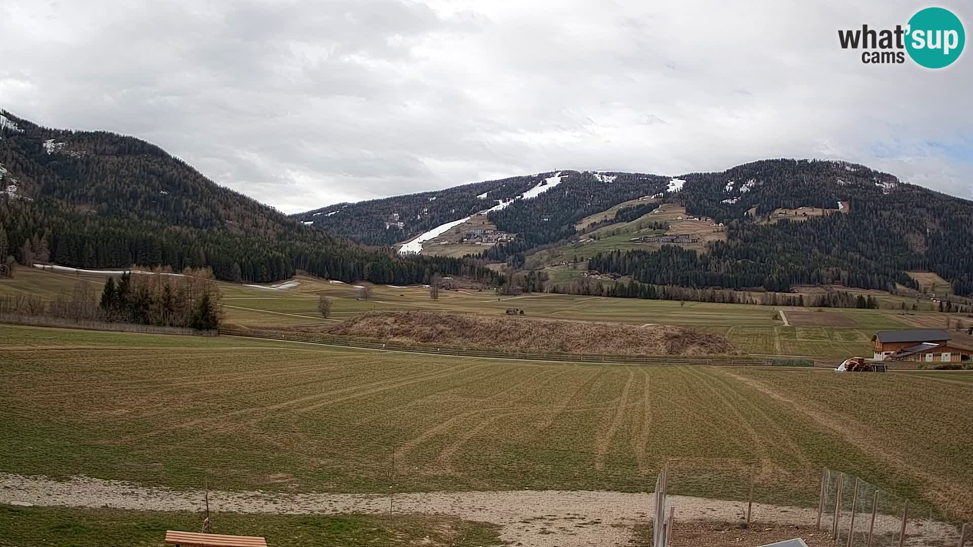 Webkamera Olang | Blick auf den Kronplatz von den Sottla Apartments
