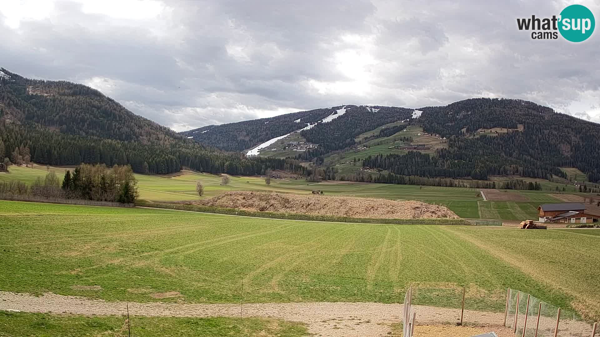 Livecam Olang | Kronplatz view from Sottla apartments