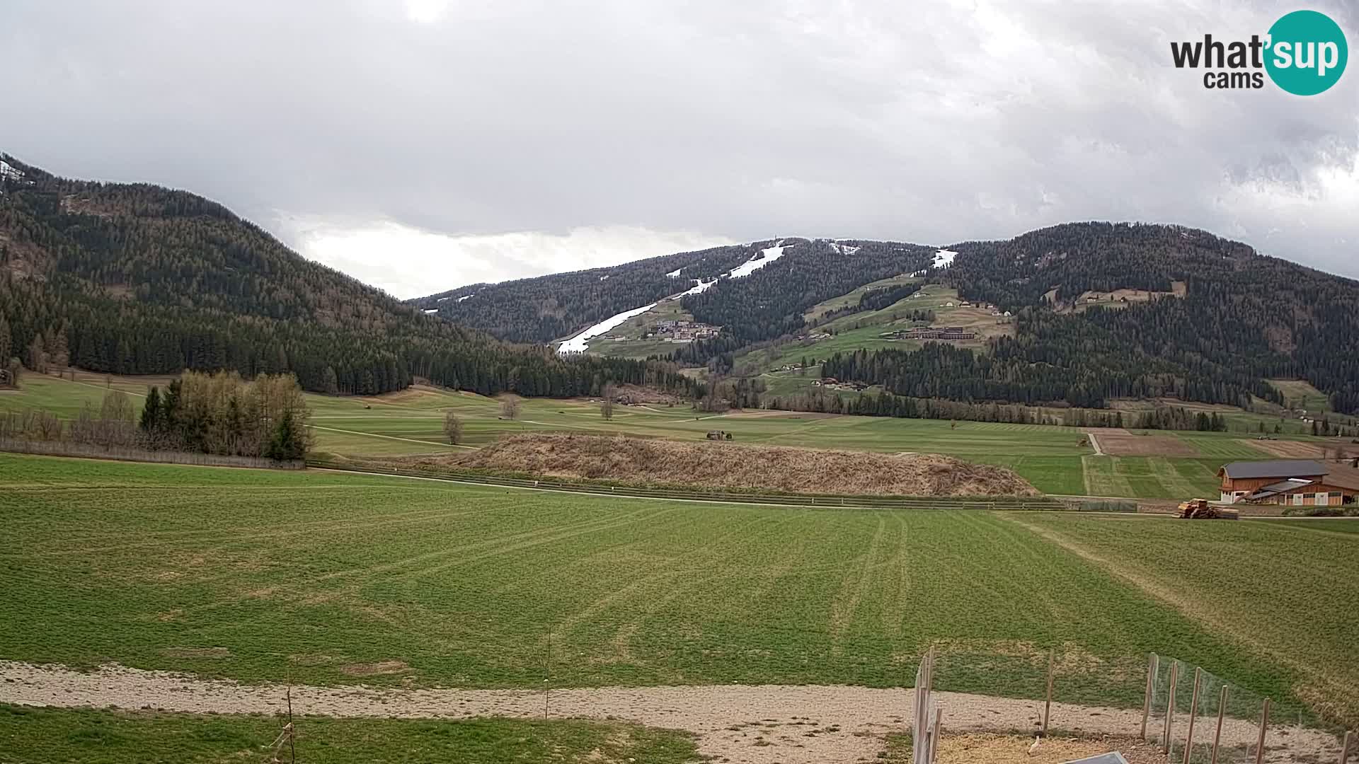 Web Kamera Olang | Kronplatz pogled sa apartmanov Sottla