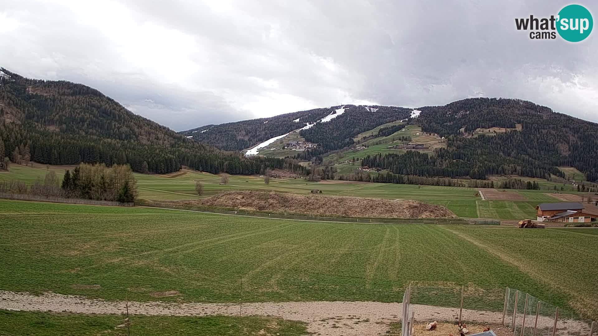 Webkamera Olang | Blick auf den Kronplatz von den Sottla Apartments