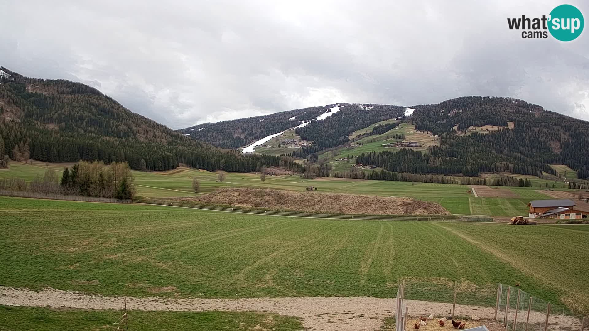 Livecam Olang | Kronplatz view from Sottla apartments