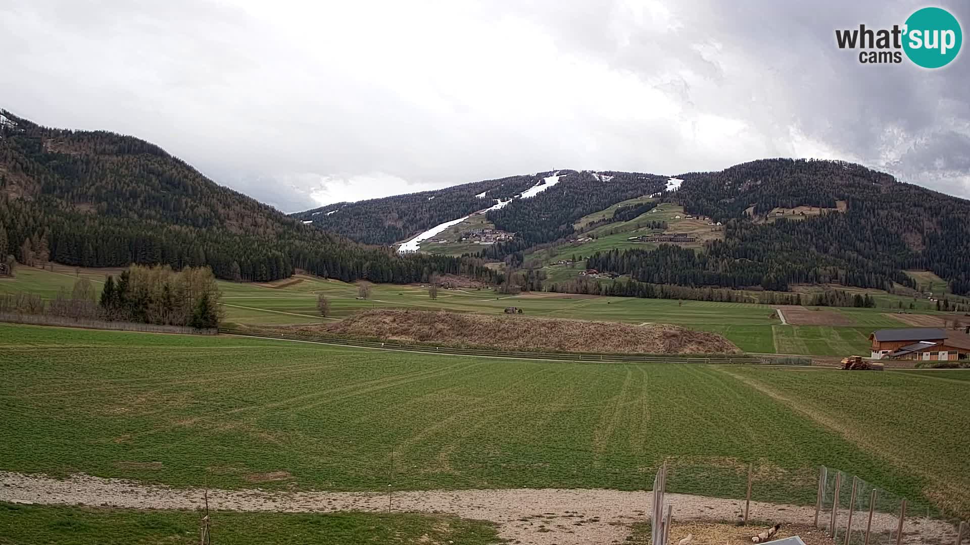 Livecam Olang | Kronplatz view from Sottla apartments