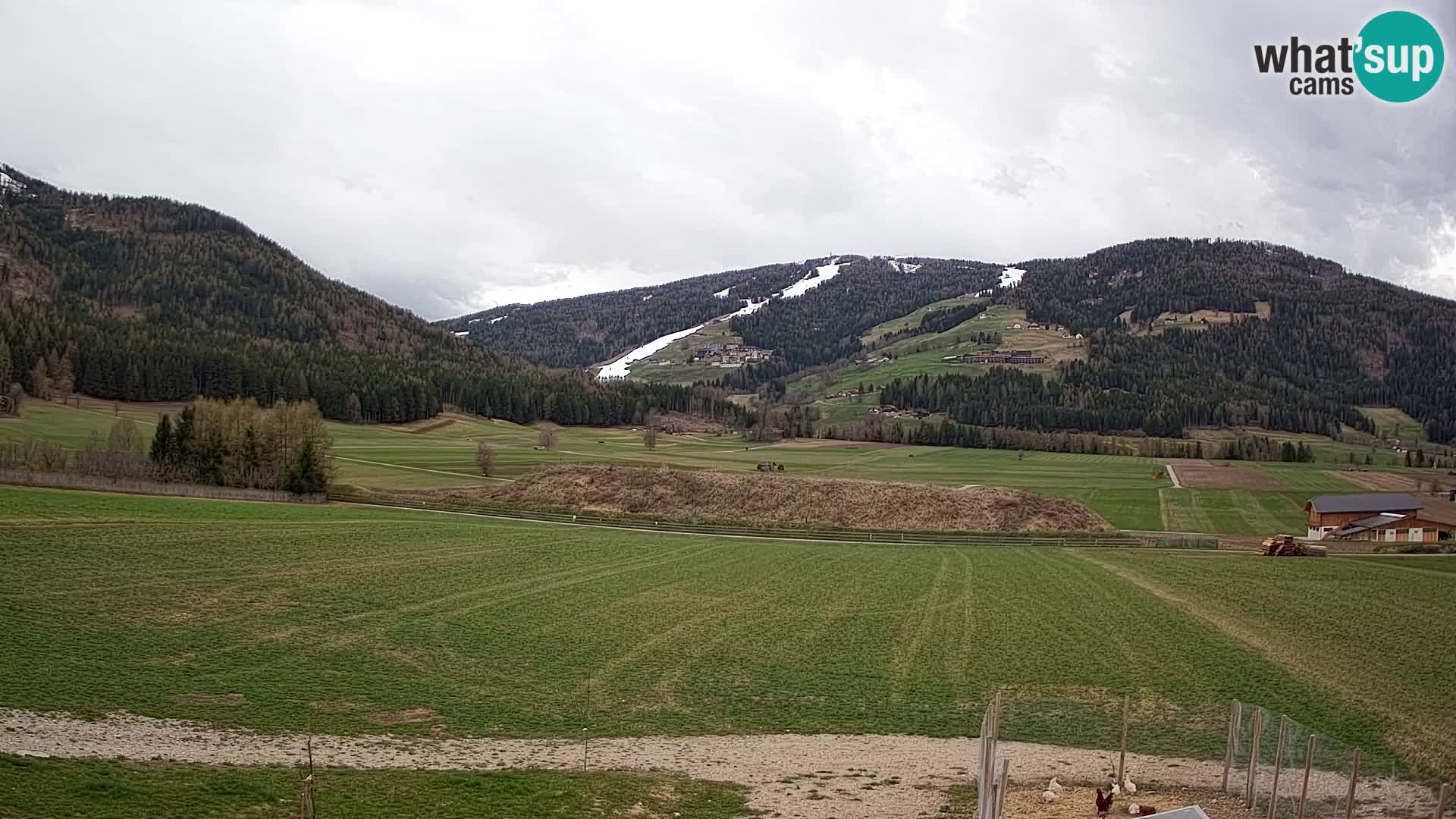 Webkamera Olang | Blick auf den Kronplatz von den Sottla Apartments