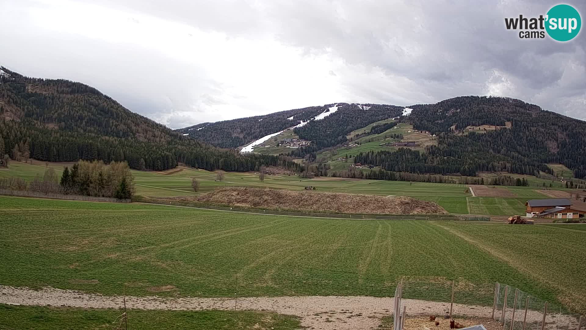 Web Kamera Olang | Kronplatz pogled sa apartmanov Sottla