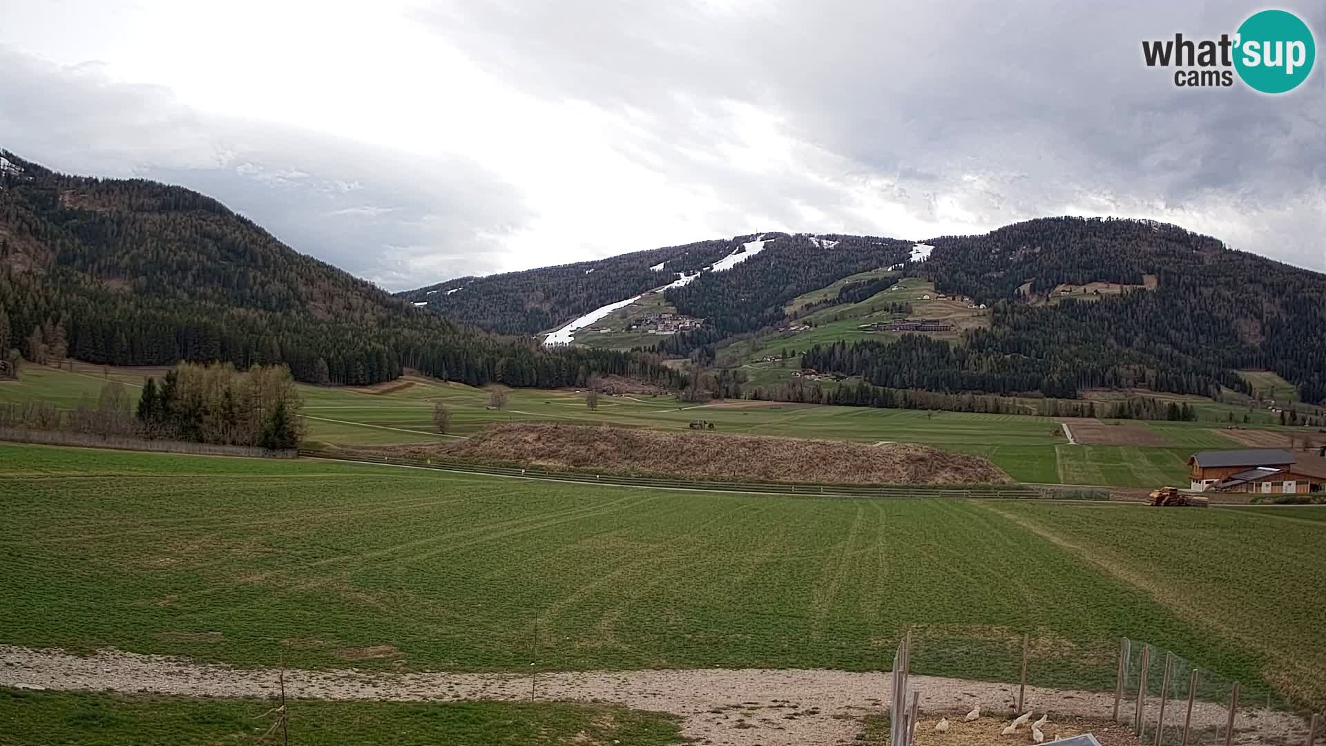 Livecam Valdaora | Plan de Corones dagli appartamenti Sottla
