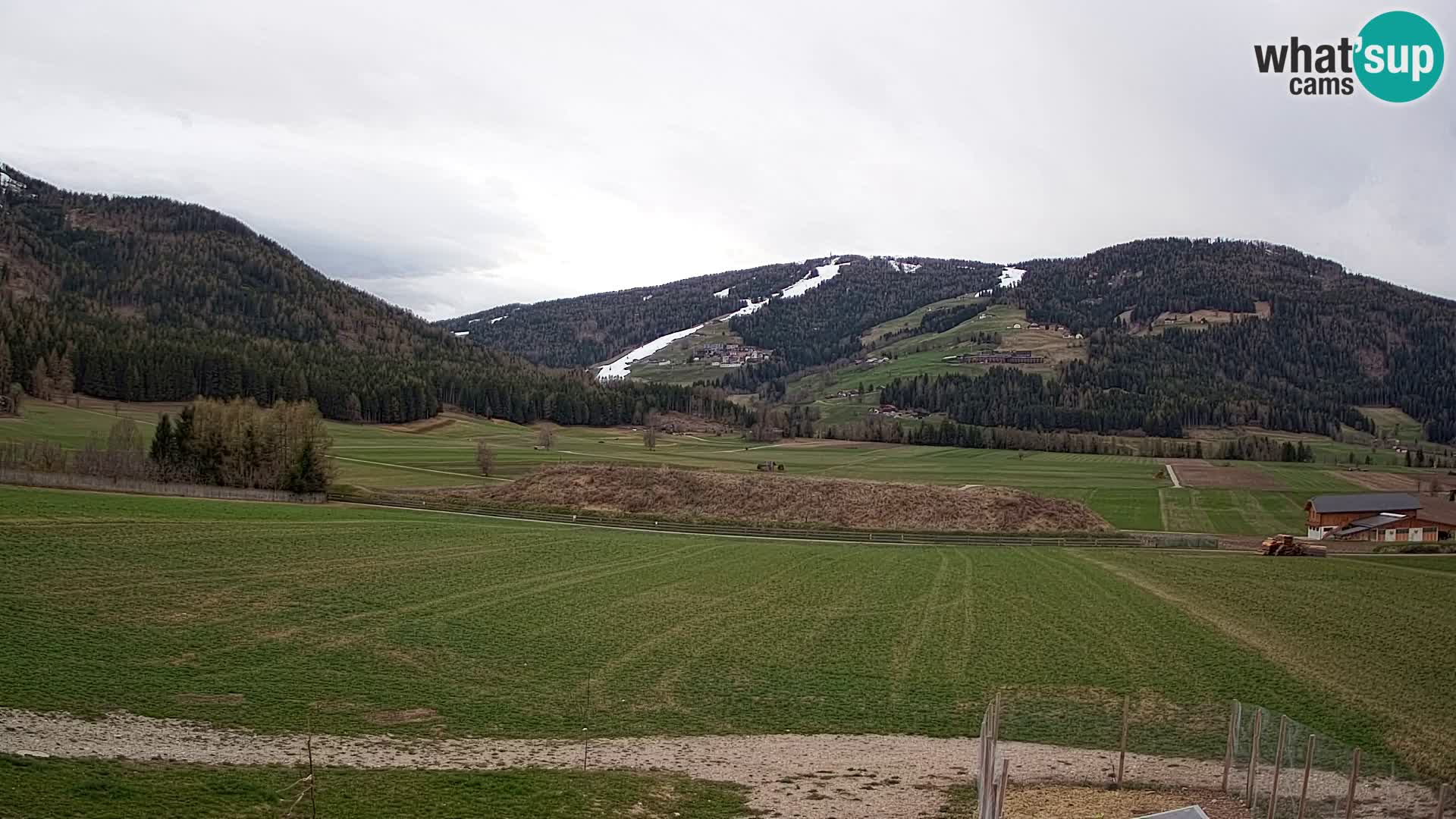 Livecam Olang | Kronplatz view from Sottla apartments