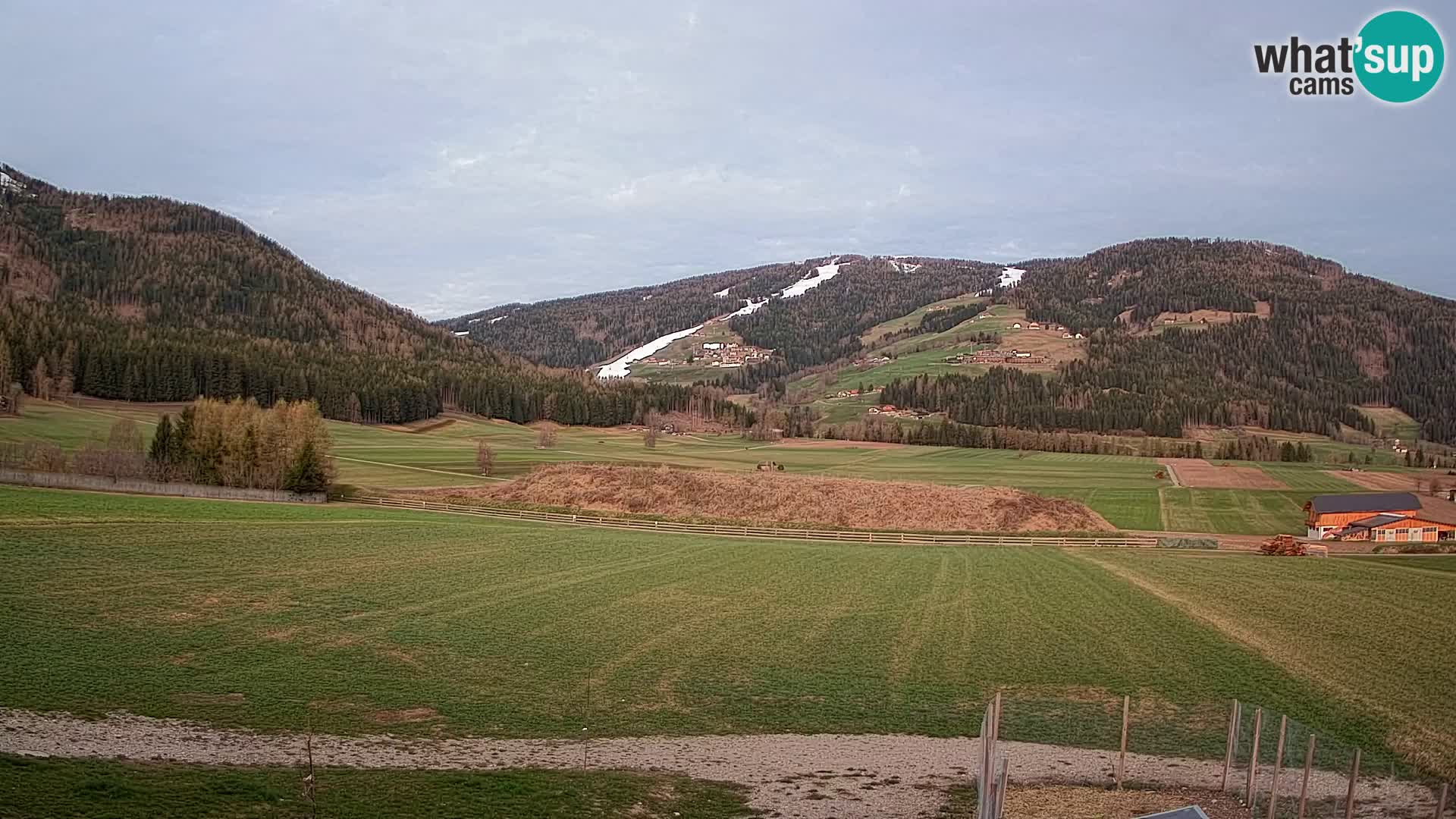 Webkamera Olang | Blick auf den Kronplatz von den Sottla Apartments