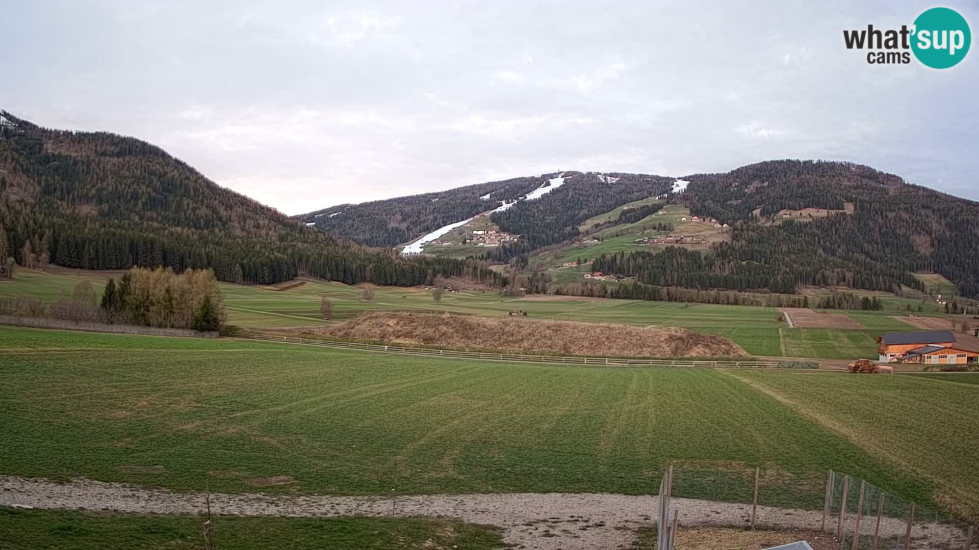 Web Kamera Olang | Kronplatz pogled sa apartmanov Sottla