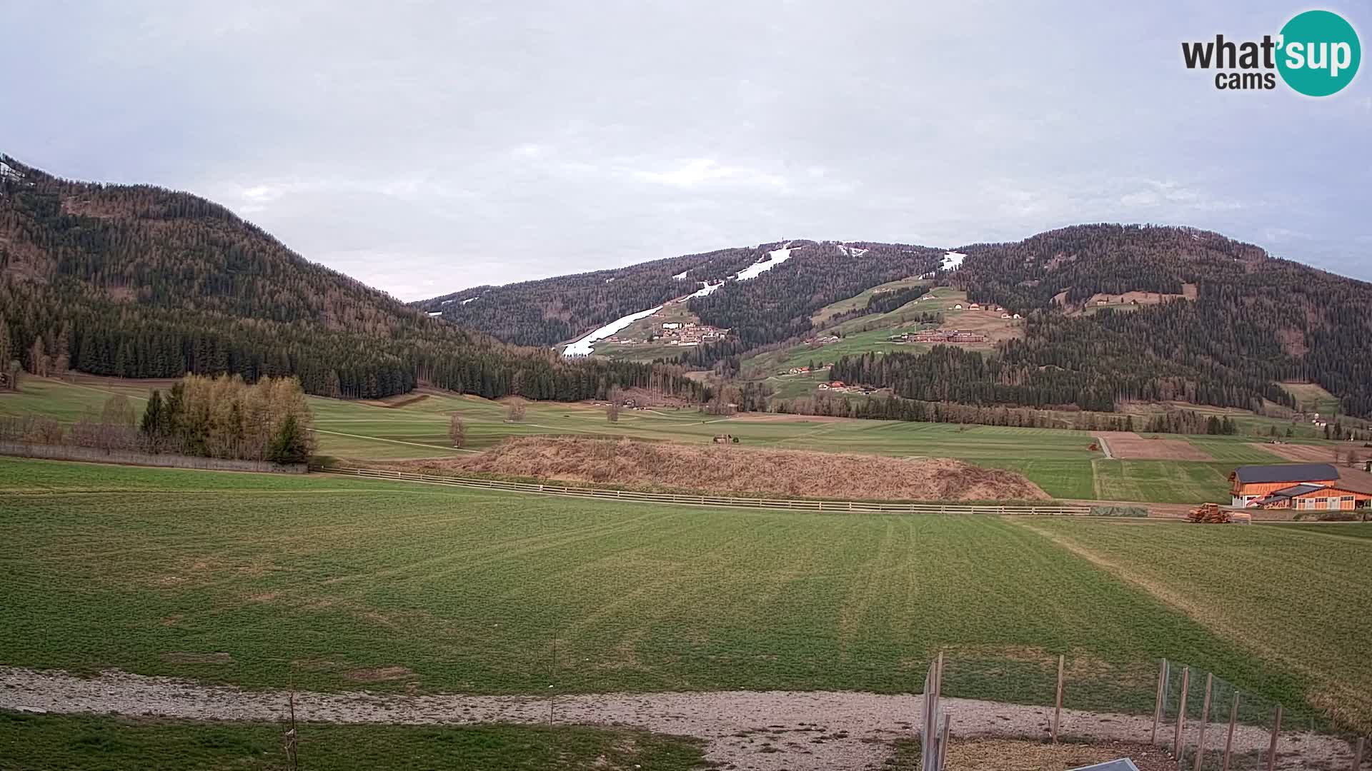 Web Kamera Olang | Kronplatz pogled sa apartmanov Sottla