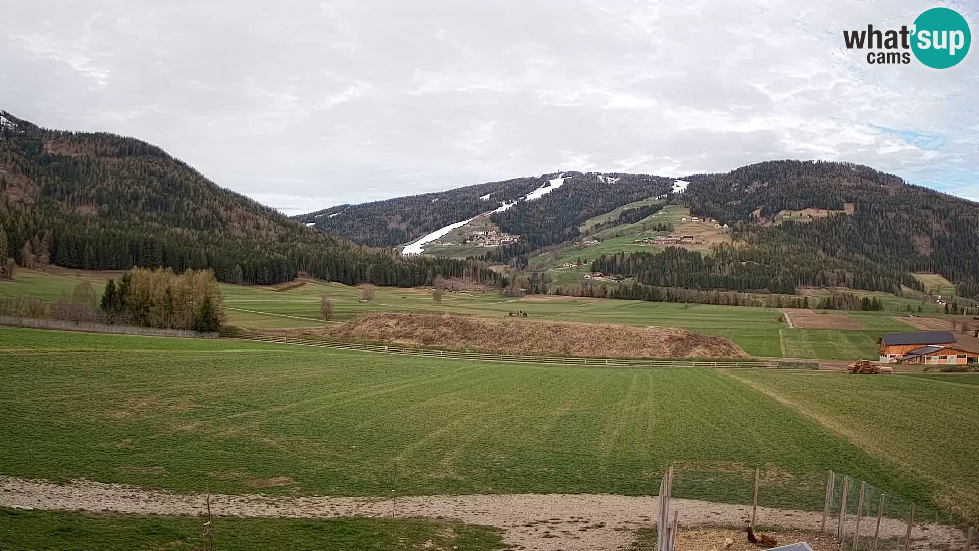 Web Kamera Olang | Kronplatz pogled sa apartmanov Sottla