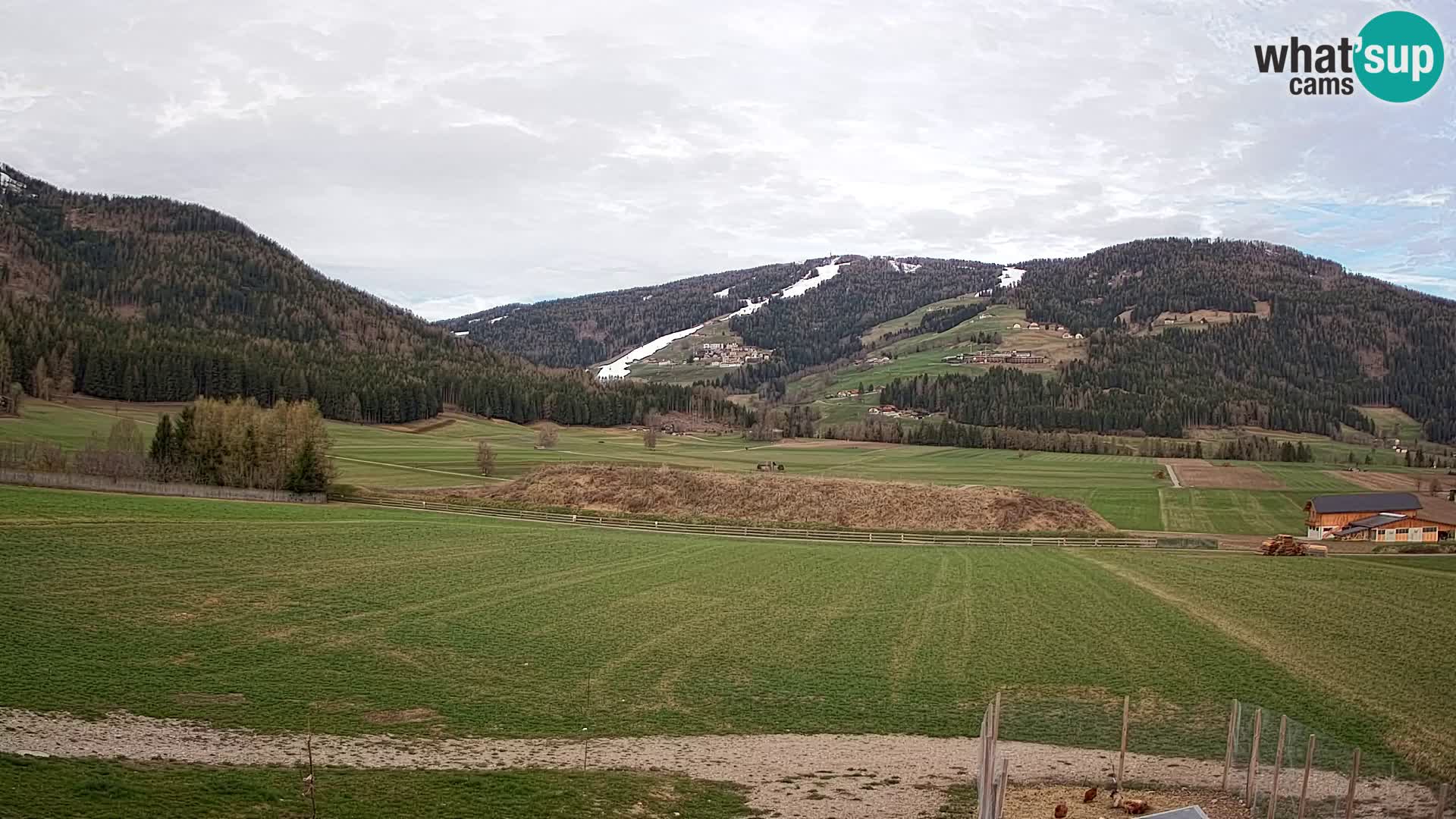 Kamera Olang | Kronplatz pogled iz apartmajev Sottla