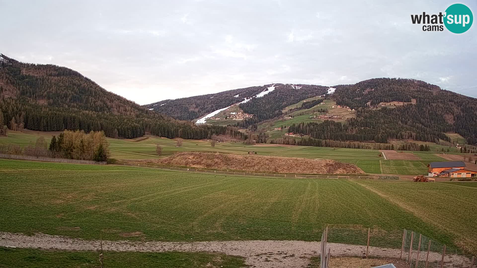 Livecam Olang | Kronplatz view from Sottla apartments