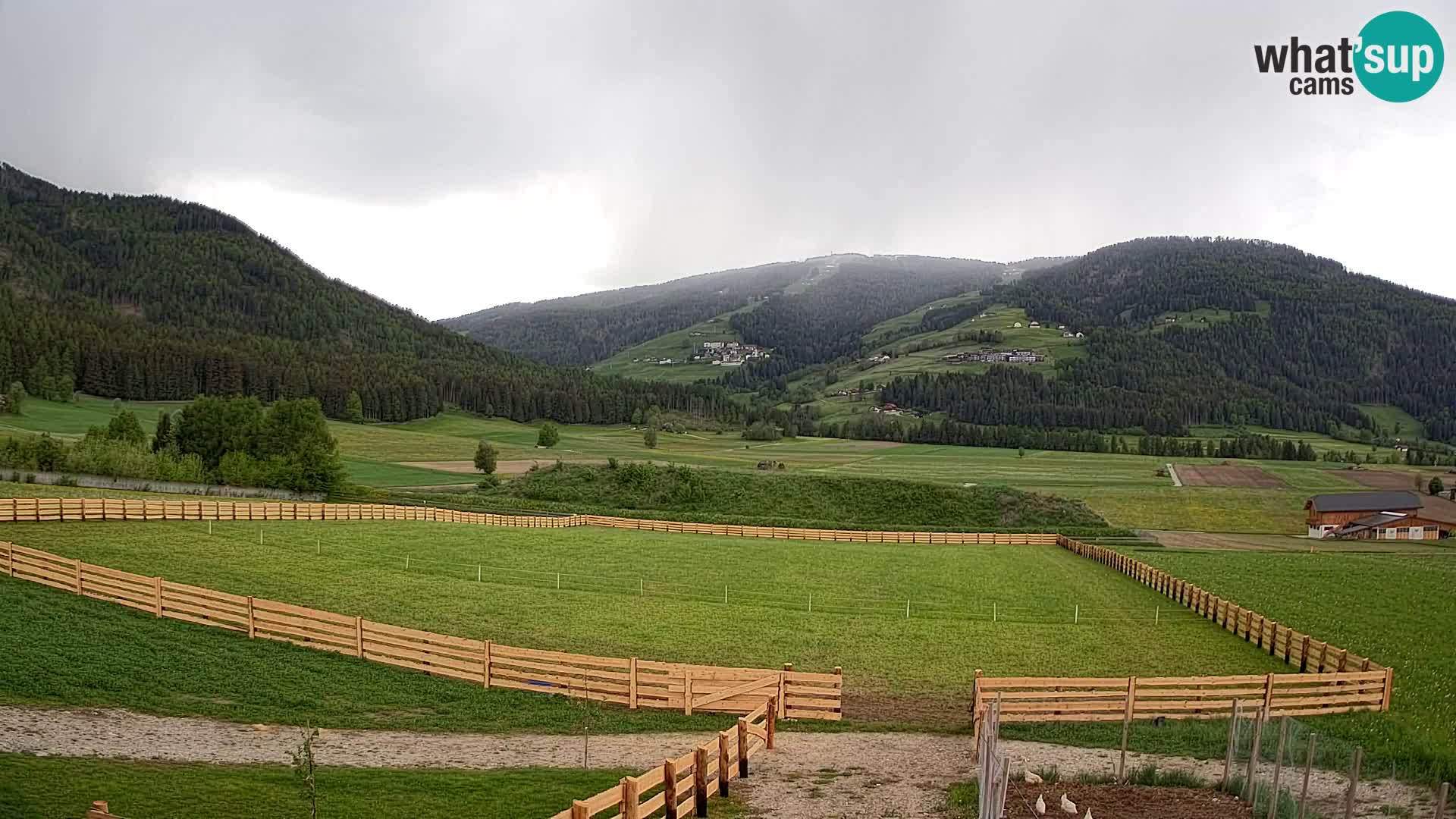 Web Kamera Olang | Kronplatz pogled sa apartmanov Sottla