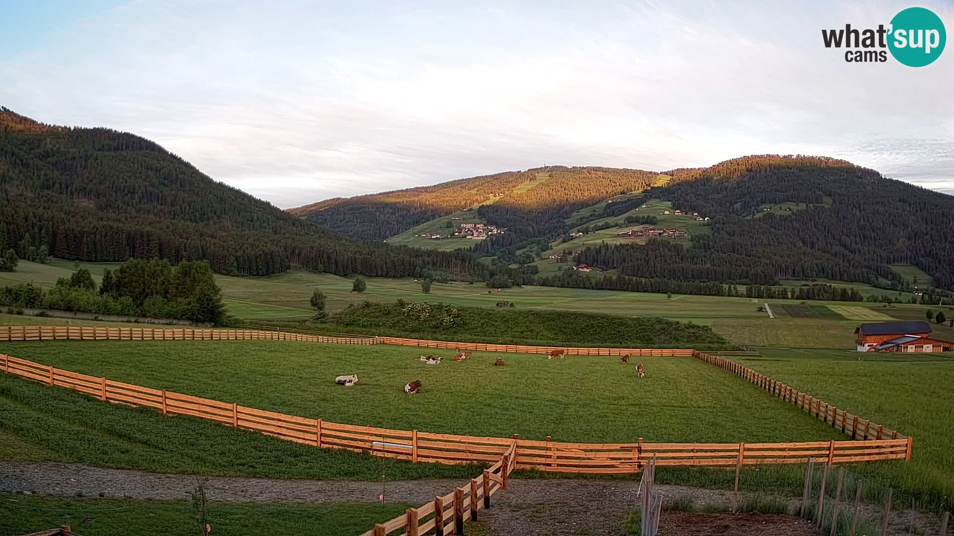Livecam Olang | Kronplatz view from Sottla apartments