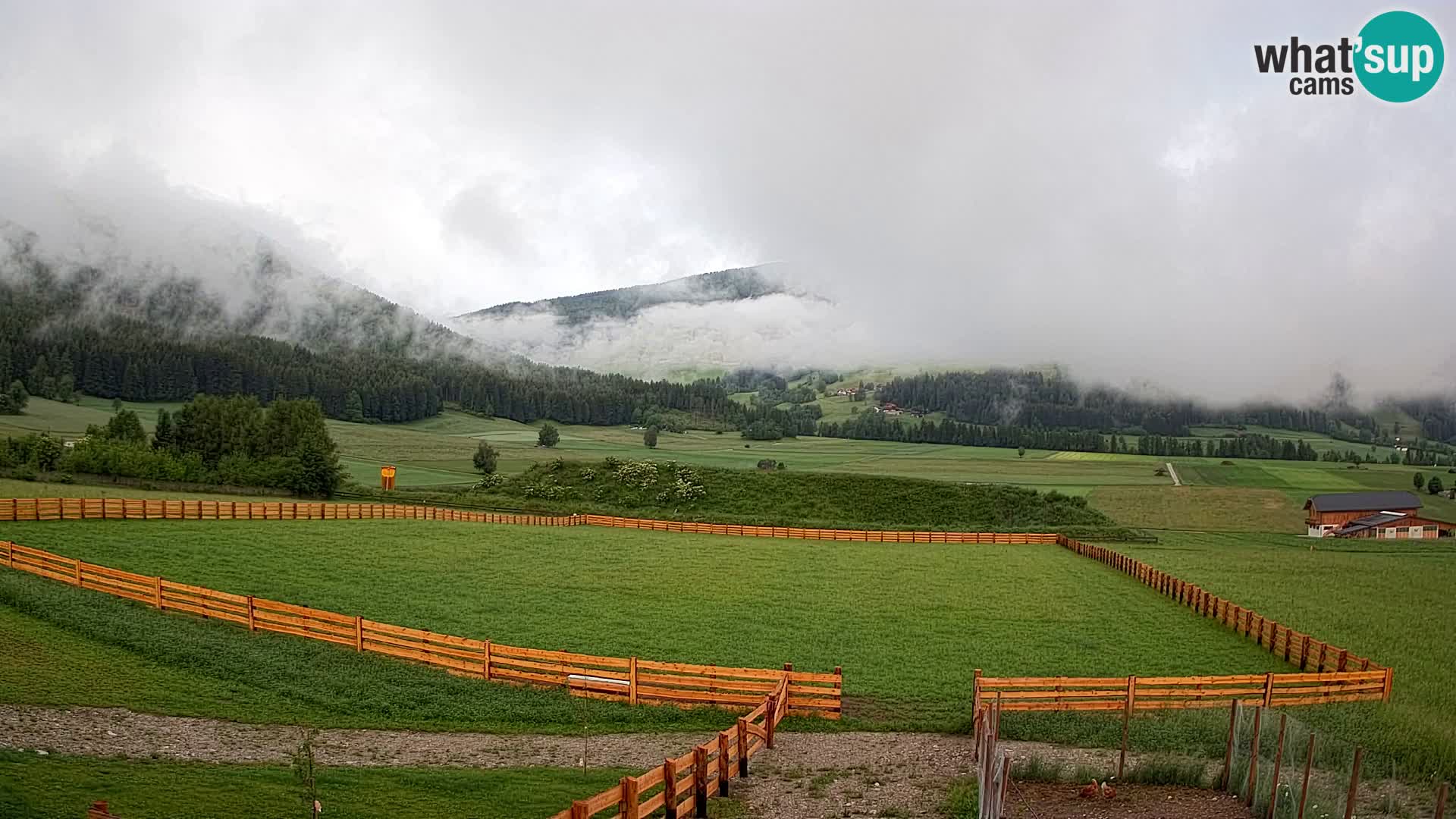 Web Kamera Olang | Kronplatz pogled sa apartmanov Sottla