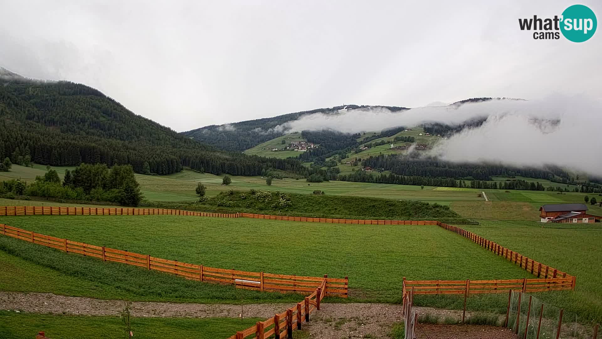 Web Kamera Olang | Kronplatz pogled sa apartmanov Sottla