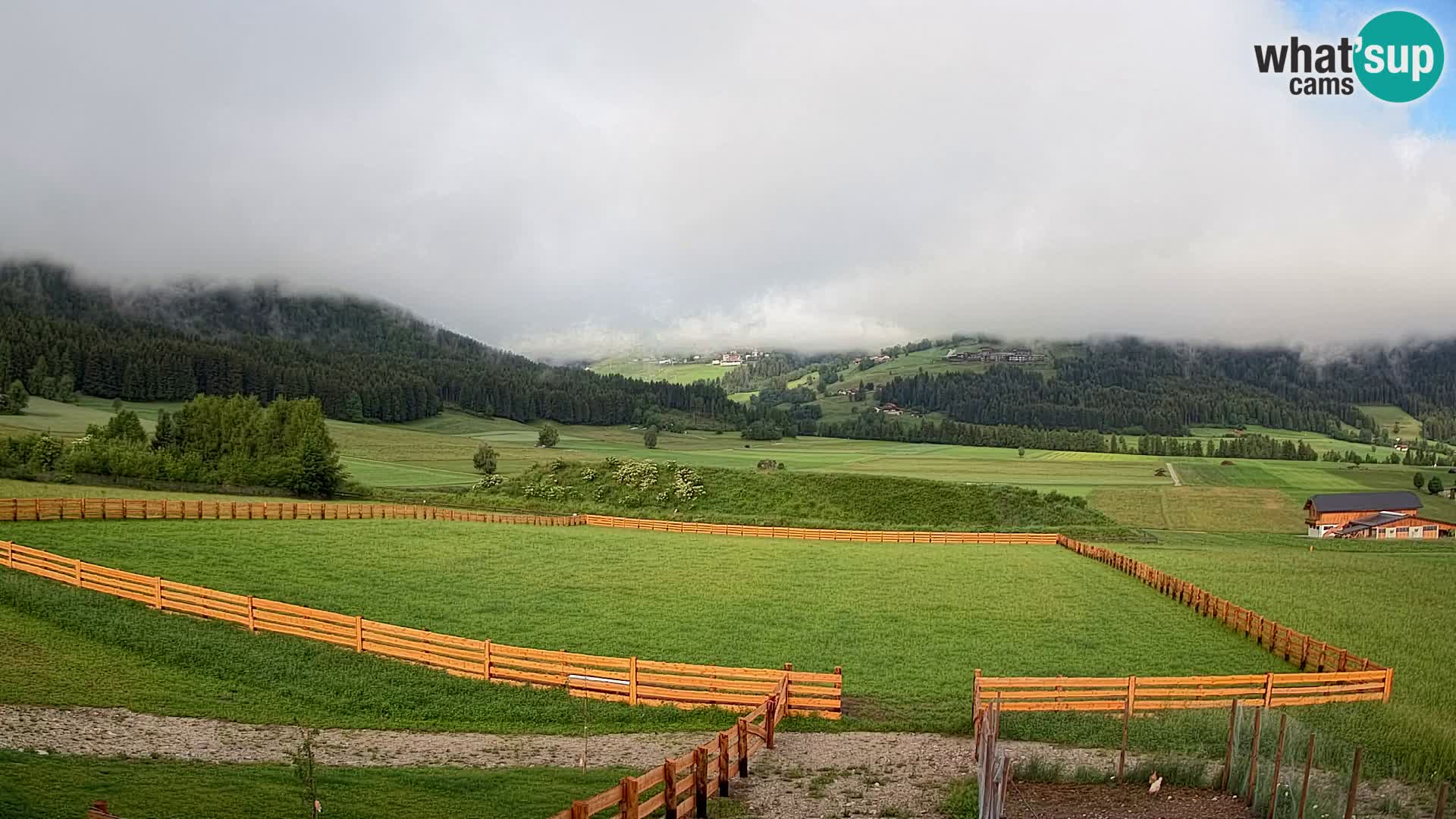 Webkamera Olang | Blick auf den Kronplatz von den Sottla Apartments