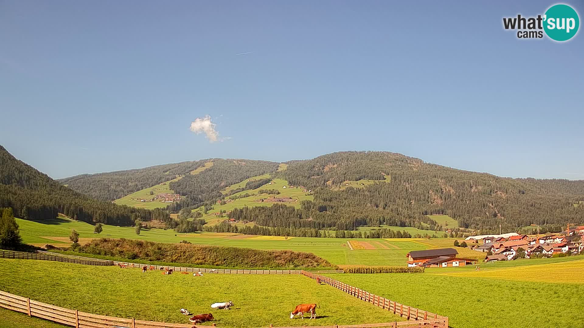 Webkamera Olang | Blick auf den Kronplatz von den Sottla Apartments