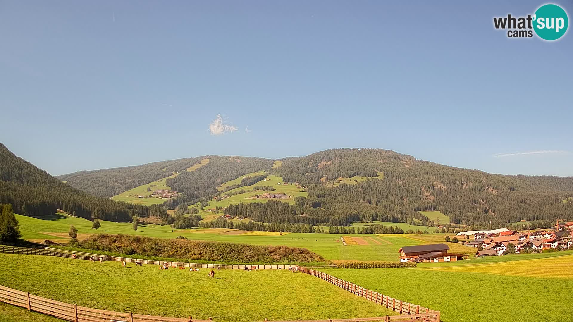 Livecam Olang | Kronplatz view from Sottla apartments