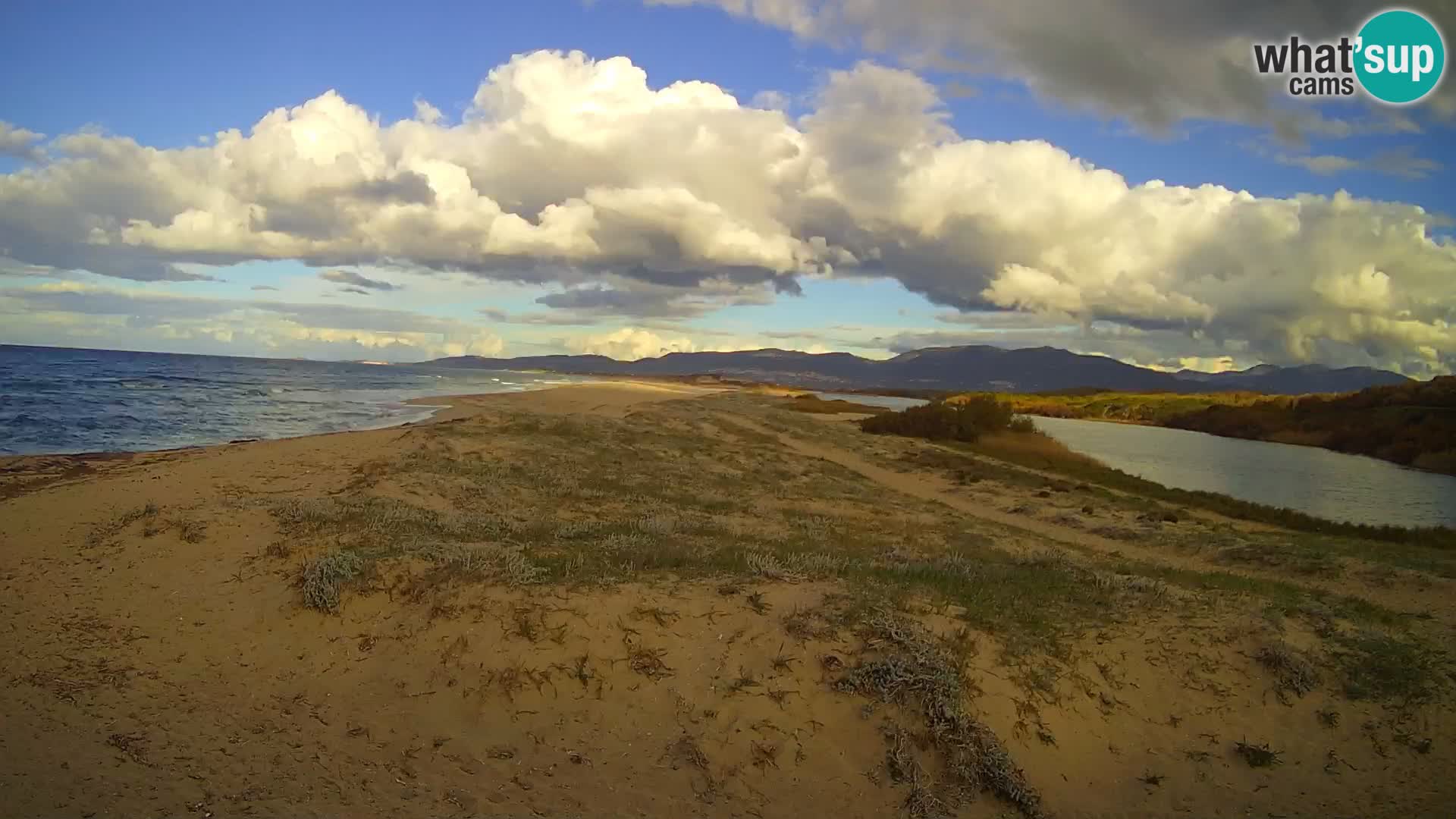 LIVE cam Tobay Strand livecam Oyster Bay New York