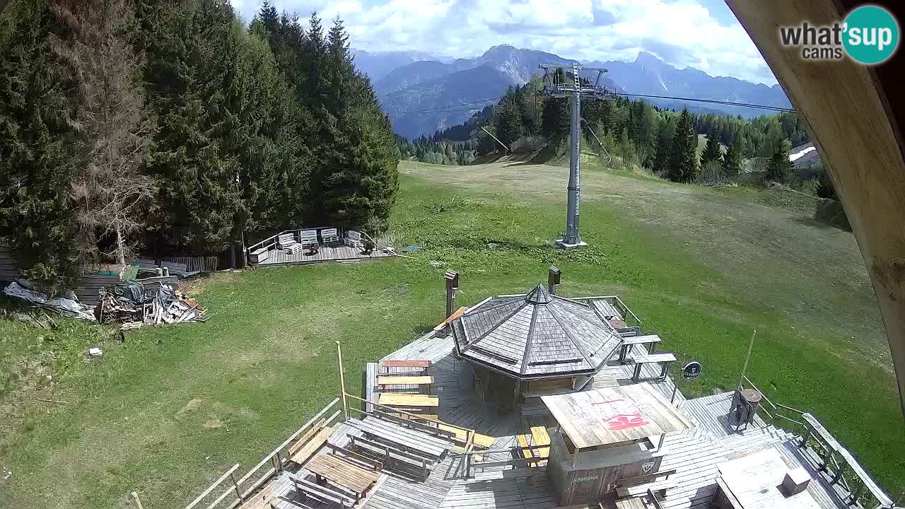 Ski resort Zoncolan mountain – Goles