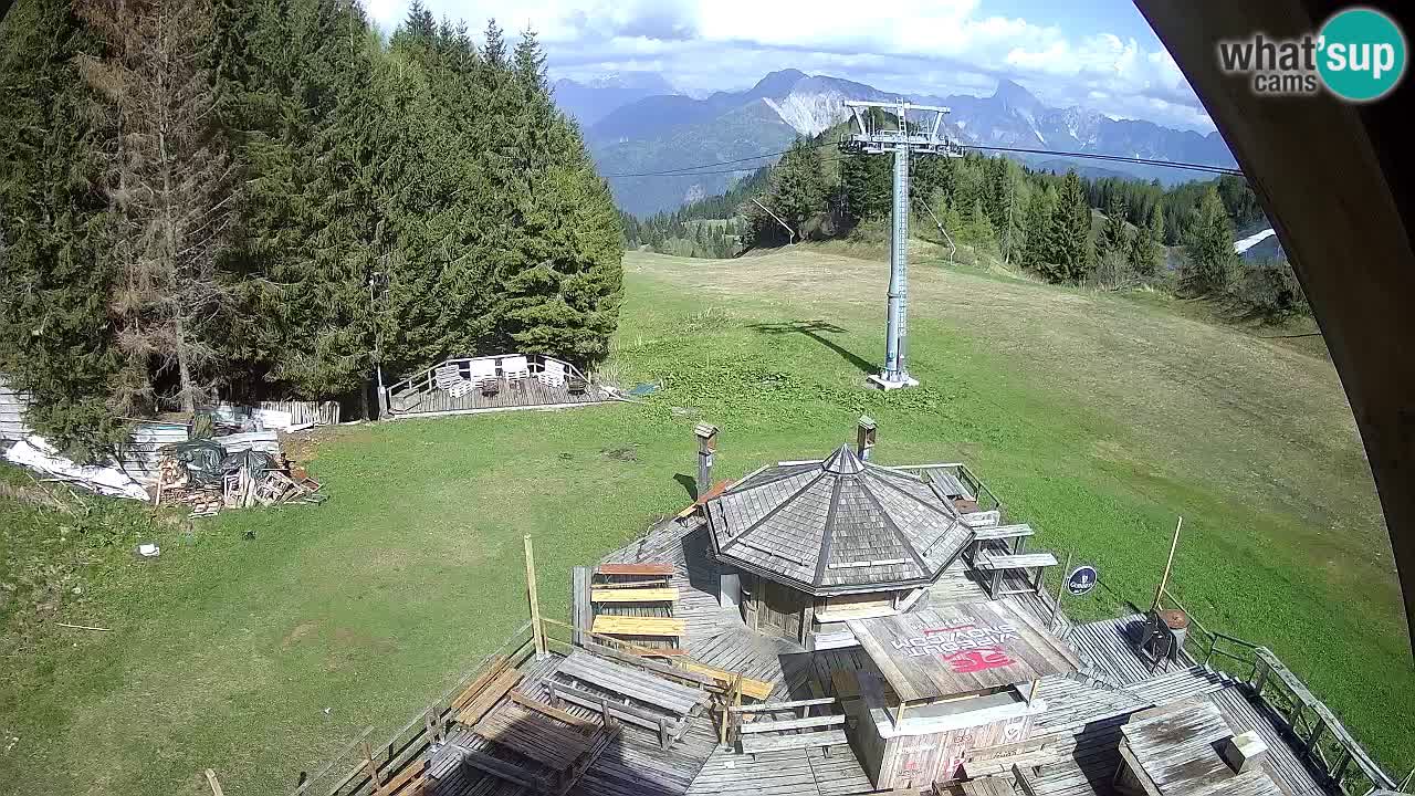 Estacion esqui Zoncolan – Goles