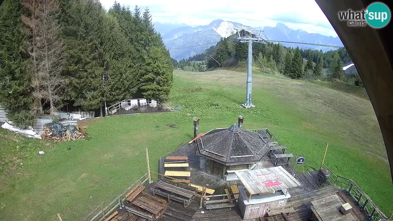 Station ski Zoncolan – Goles