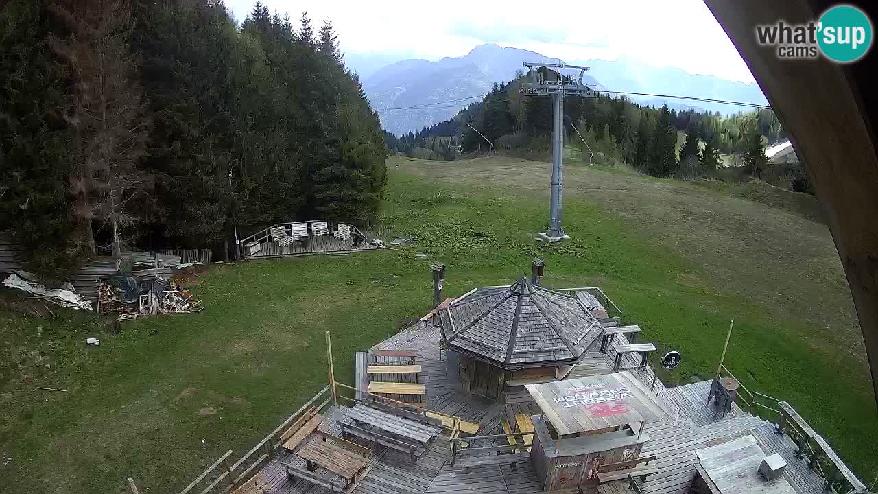 Ski resort Zoncolan mountain – Goles