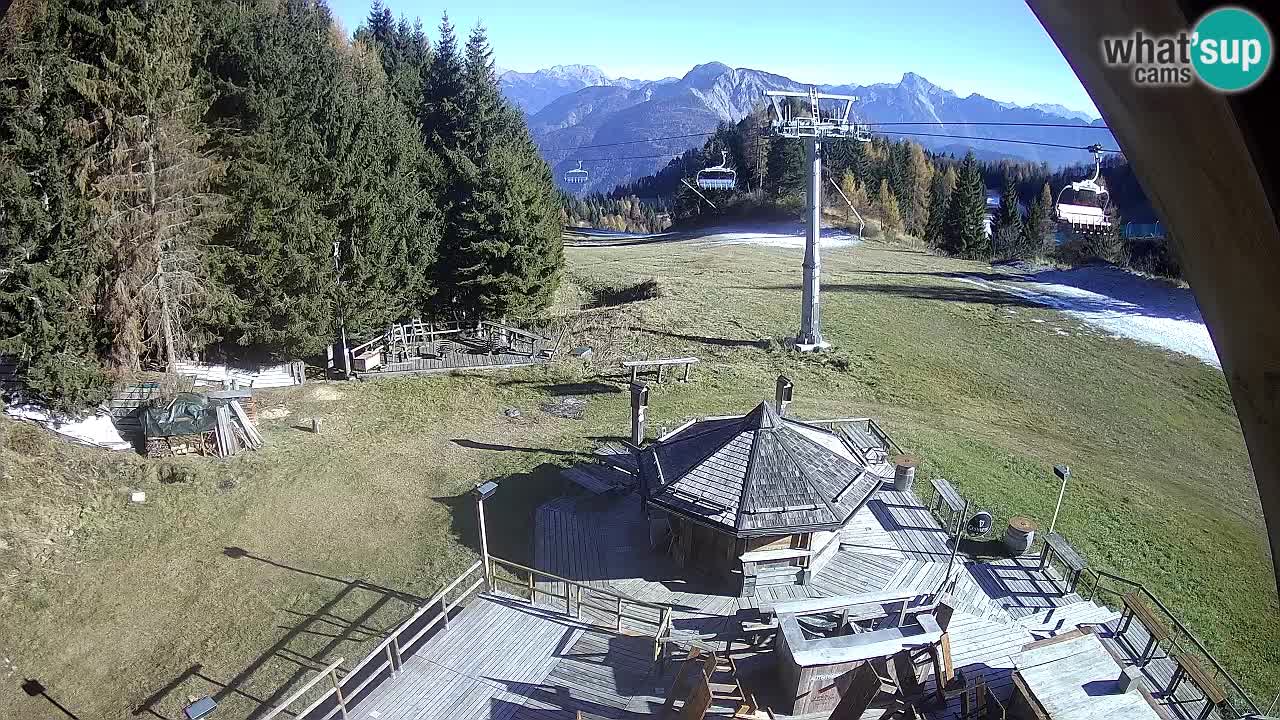 Ski resort Zoncolan mountain – Goles